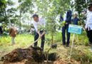 Bey Machmudin Awali Kerja 2025 dengan Tanam Pohon