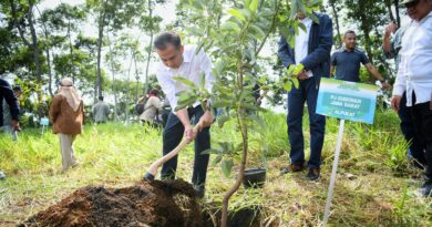 Bey Machmudin Awali Kerja 2025 dengan Tanam Pohon