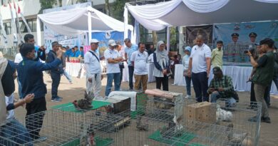 PEMBUKAAN KONTES AYAM HIAS DAN REPTIL NASIONAL PIALA WALI KOTA CIMAHI 2025