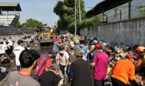 sampah