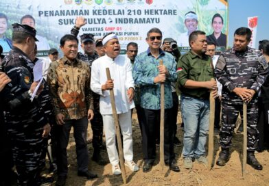 Dorong Swasembada Kedelai, KDM Minta Petani Lakukan Ini