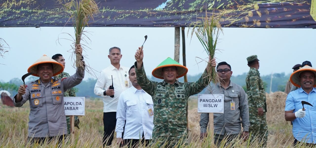 PANEN RAYA TNI DI SUMEDANG PERKUAT SINERGI WUJUDKAN KETAHANAN PANGAN NASIONAL