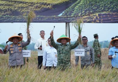 PANEN RAYA TNI DI SUMEDANG PERKUAT SINERGI WUJUDKAN KETAHANAN PANGAN NASIONAL